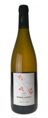 pinot gris bonnet huteau